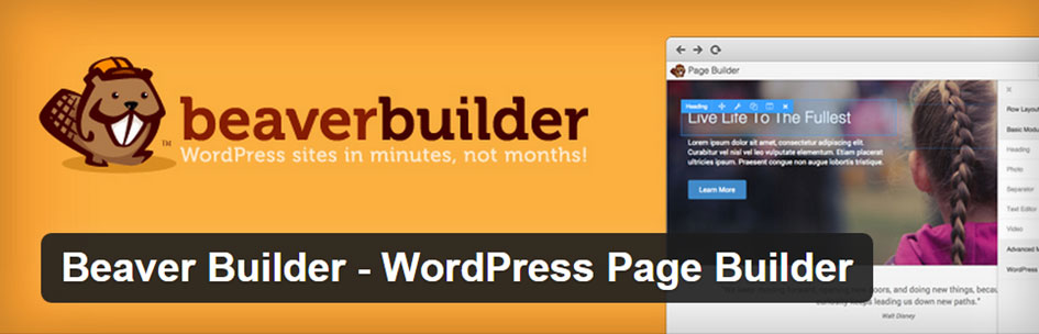 Beaver Builder Plugin Review
