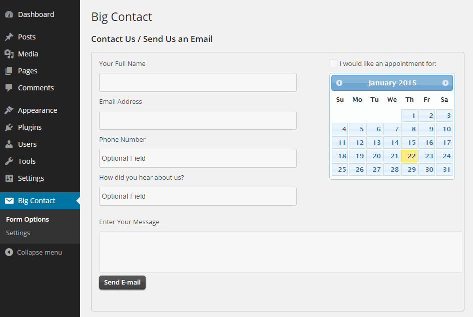 Big Contact Form Options