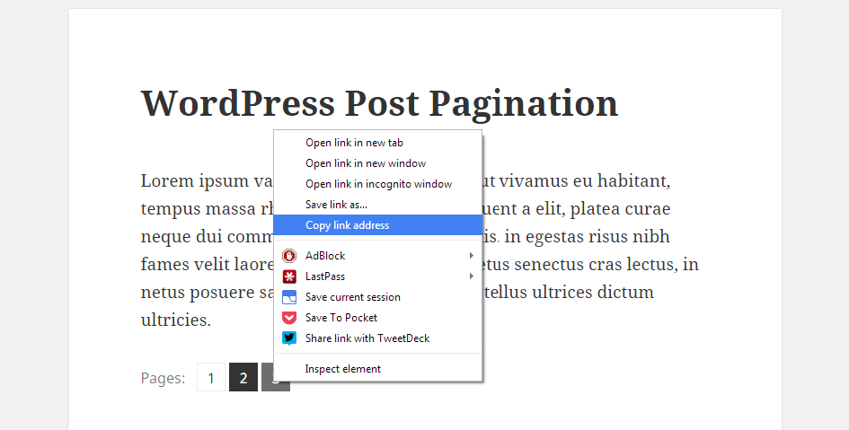 Pagination Copy Link Address