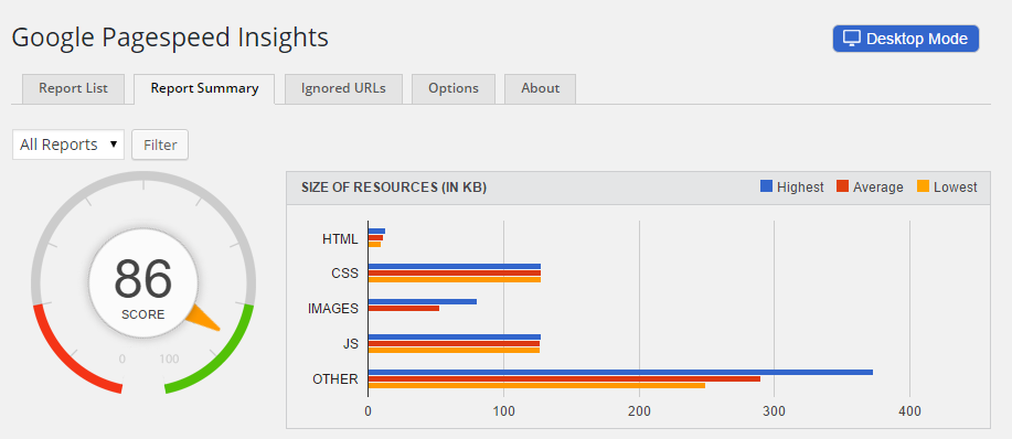 Google Pagespeed Insights Report Summary