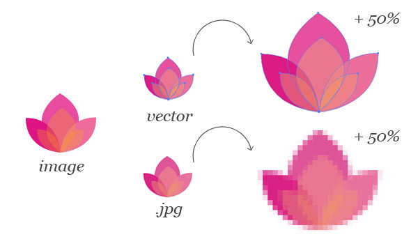 image-types