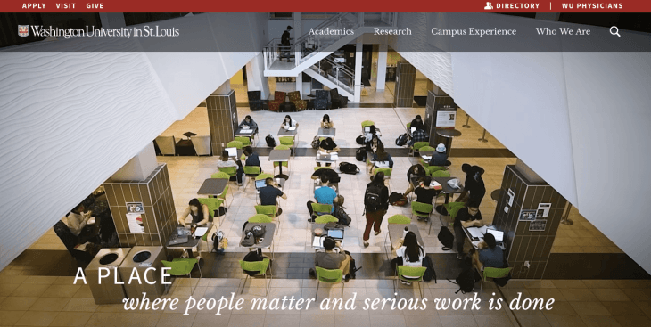 Top University Websites Using WordPress: Washington University