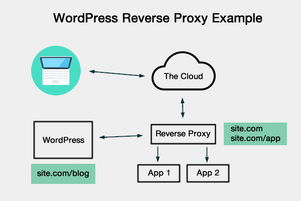 Reverse works. Reverse proxy. Принцип работы Reverse proxy. Nat vs proxy. Pyglet примеры.