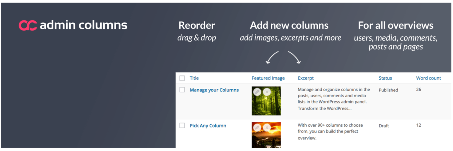 How To Create Columns In WordPress - Pagely