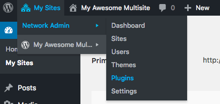 Accessing network-wide plugins in WordPress multisite.