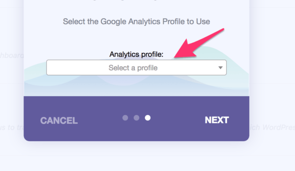 Google Analytics WordPress