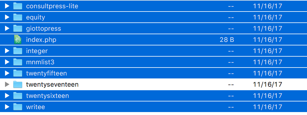 All themes highlighted, apart from the twentyseventeen folder.