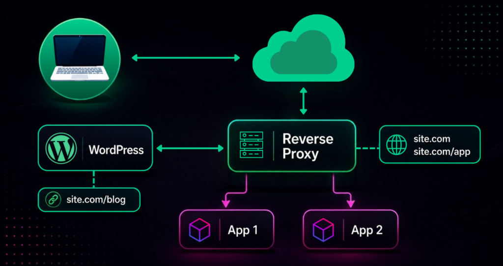 reverse proxy graphic