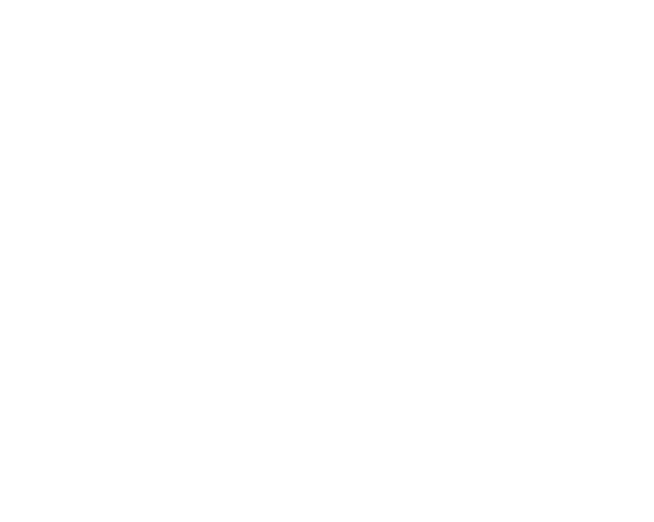 Steck Insights