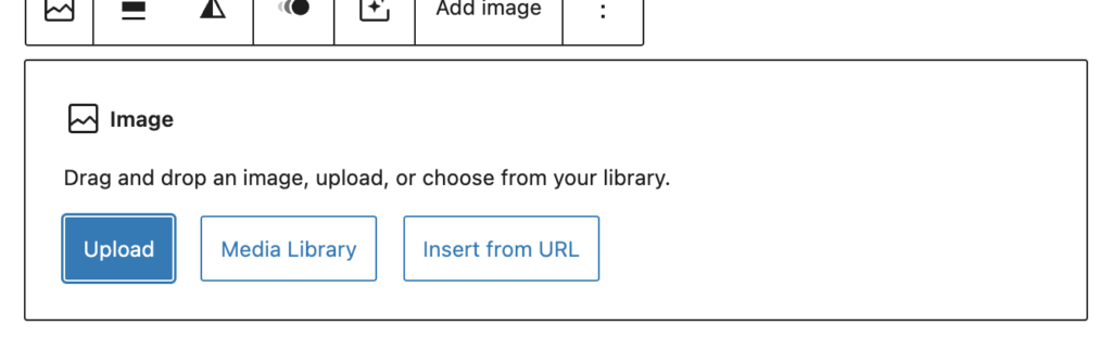 image options in block editor