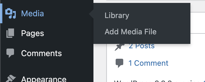 navigate to WordPress media library