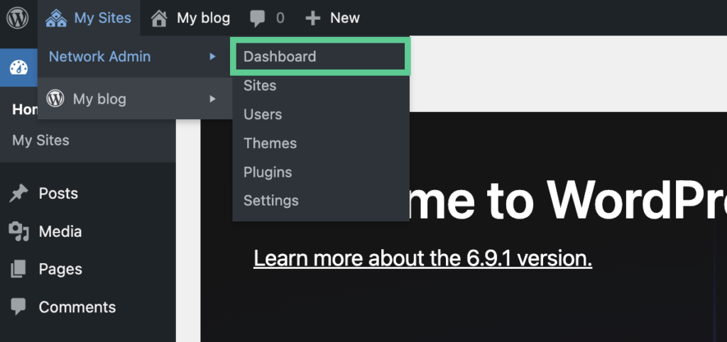 WordPress Multisite Network Admin